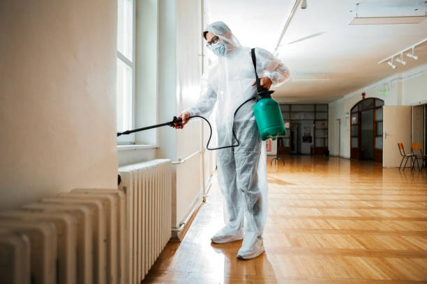 Best Fumigation Services  in Bainbridge, PA